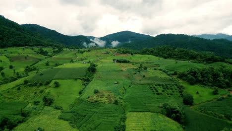 4K-Cinematic-nature-aerial-drone-footage-of-the-beautiful-mountains-and-rice-terraces-of-Ban-Pa-Pong-Piang-at-Doi-Ithanon-next-to-Chiang-Mai,-Thailand-on-a-cloudy-sunny-day