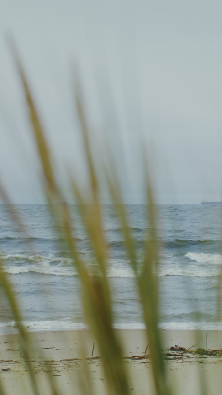 Seascape with Waves and Beach
