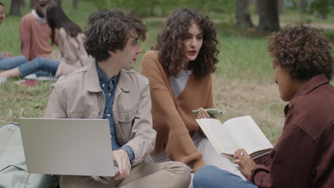 students studying in a park