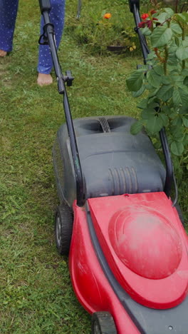 barefoot young girl uses lawn mower to mow a lawn in garden. close up of mowing the lawn. vertical video