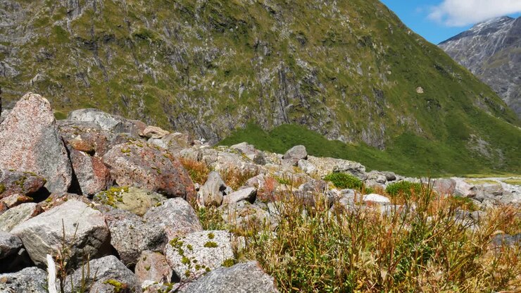 Inquadratura statica di rocce, erba ondeggiante e una vasta catena montuosa sullo sfondo durante una giornata di sole - Gertrude Saddle - Parco Nazionale, Nuova Zelanda