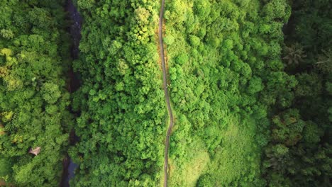 Sunrise-top-down-aerial-view-of-a-jogging-track-surrounded-by-nature,-forest,-jungle