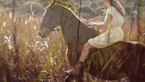 mujer montando un caballo en los campos