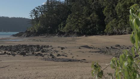 Fernsicht-Auf-Die-Touristen,-Die-An-Der-Sandigen-Küste-Des-Sägemühlenstrandes-In-Whitsundays,-Qld,-Australien,-Spazieren-Gehen