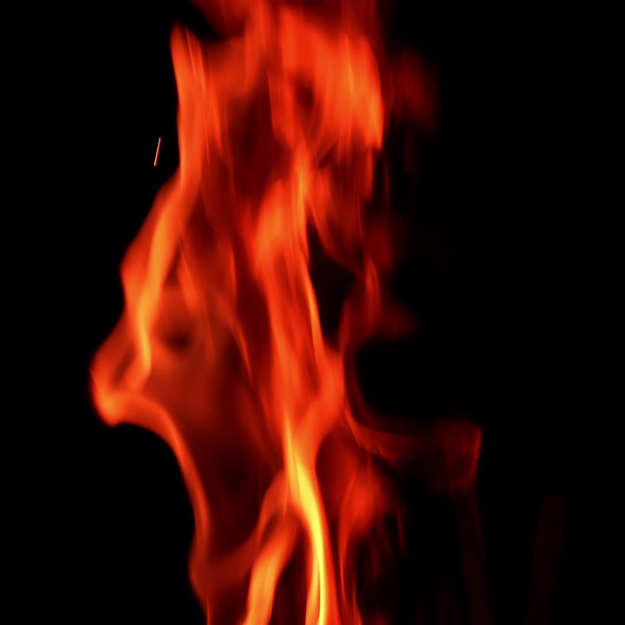 Fire flames burning and going up. Close up. Black backdrop