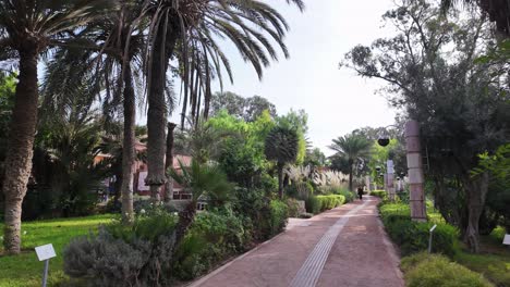jardin olhao agadir morocco botanical garden park green space well maintenanced recreational