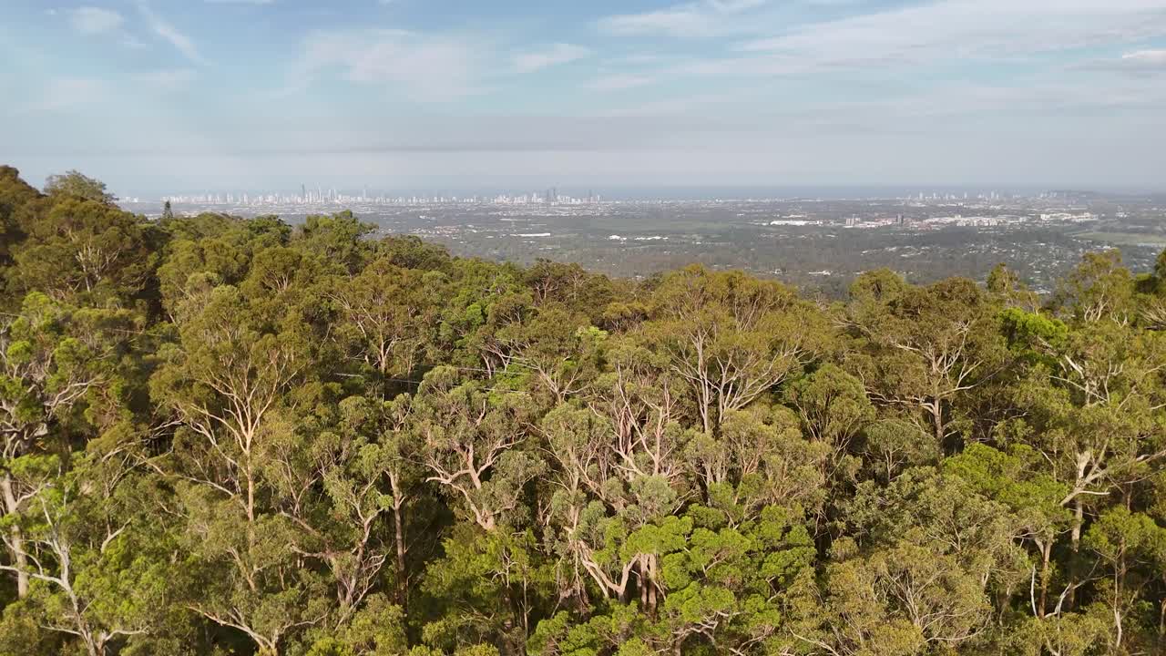 Drone glides above lush forest canopy, revealing distant city skyline under bright daylight skies