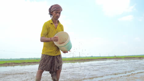 Granjero-Local-Indio-Sosteniendo-Un-Cubo-Y-Sembrando-Granos-De-Arroz-En-La-Tierra-Arada-Vacía