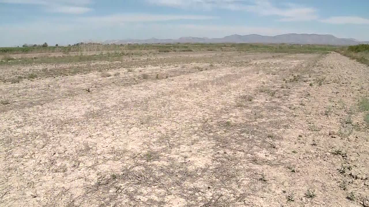 Dry, cracked earth field landscape