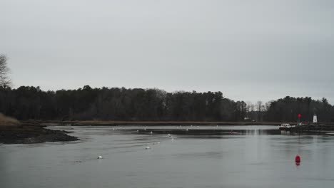 Timelapse-of-coastal-harbor-during-tide-change-with-tidal-current-and-bouys,-4k