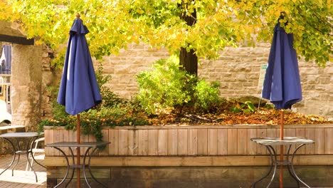 blue umbrellas gently blow in the wind at a deserted outdoor patio