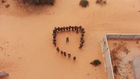 aerial view top shot of soldiers at the desert getting commands from their commander