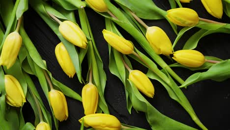 Yellow-tulips-placed-on-black-table--Top-view-with-flat-lay