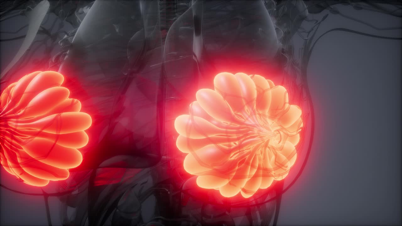 눈에 보이는 빛을 가진 인간의 몸 유방선