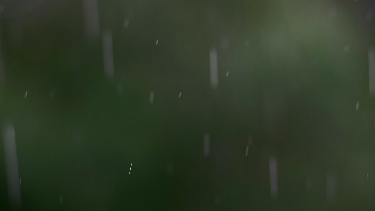 It's raining, it's pouring