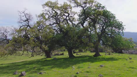 hiking through scenic trails in beautiful landscapes