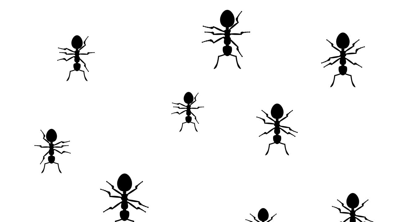 개미들이 달려오고 있습니다.