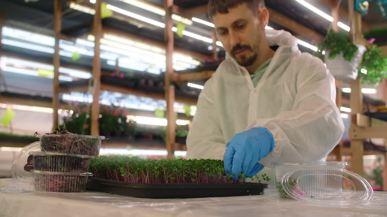 Microgreen Production Facility