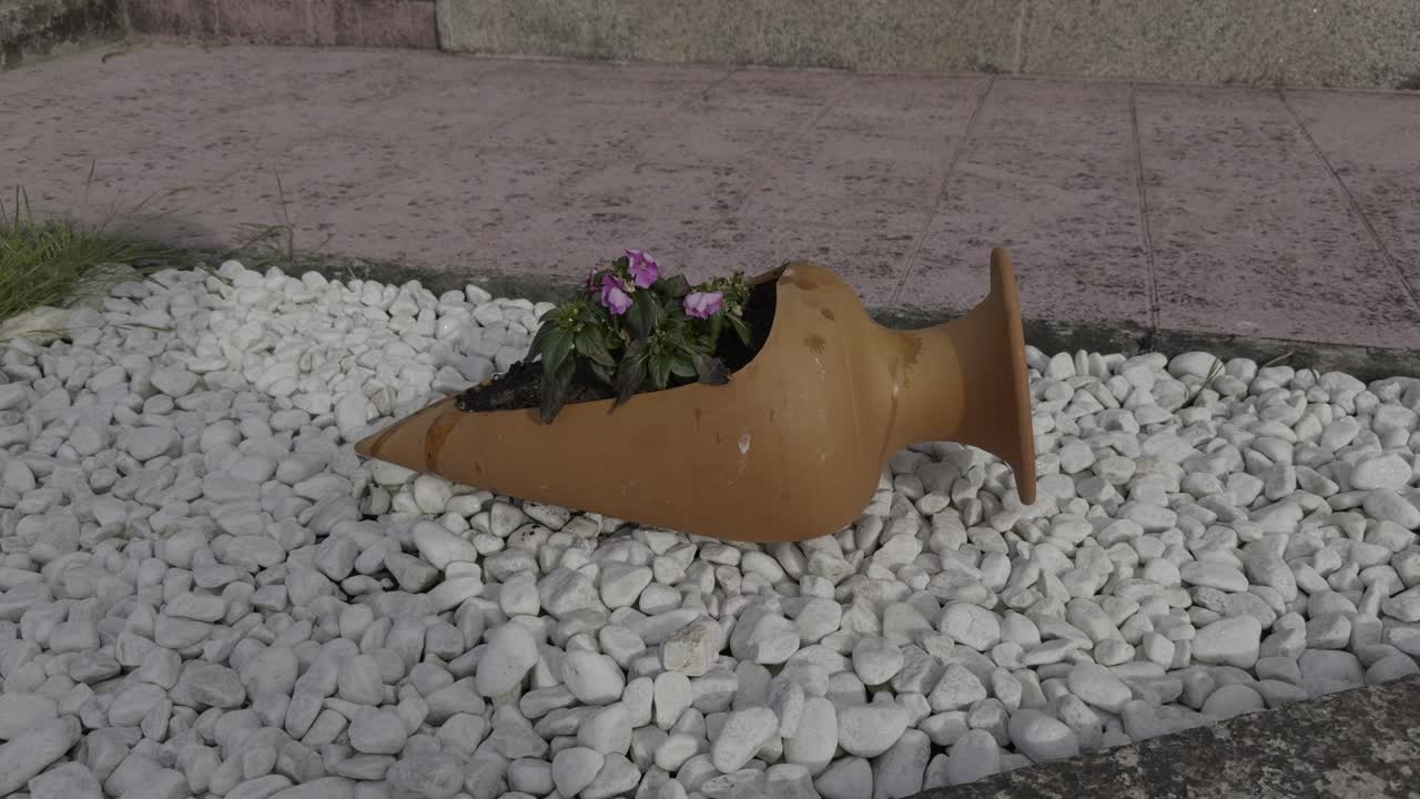 장식 바위 위에 오래된 항아리 플랜터에 아름다운 분홍색 꽃