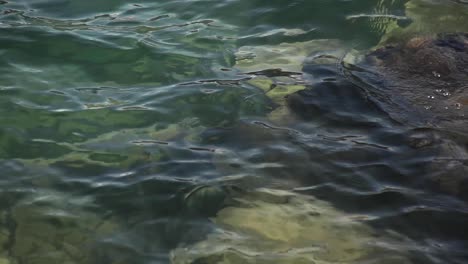 waves on shore  on a sunny day