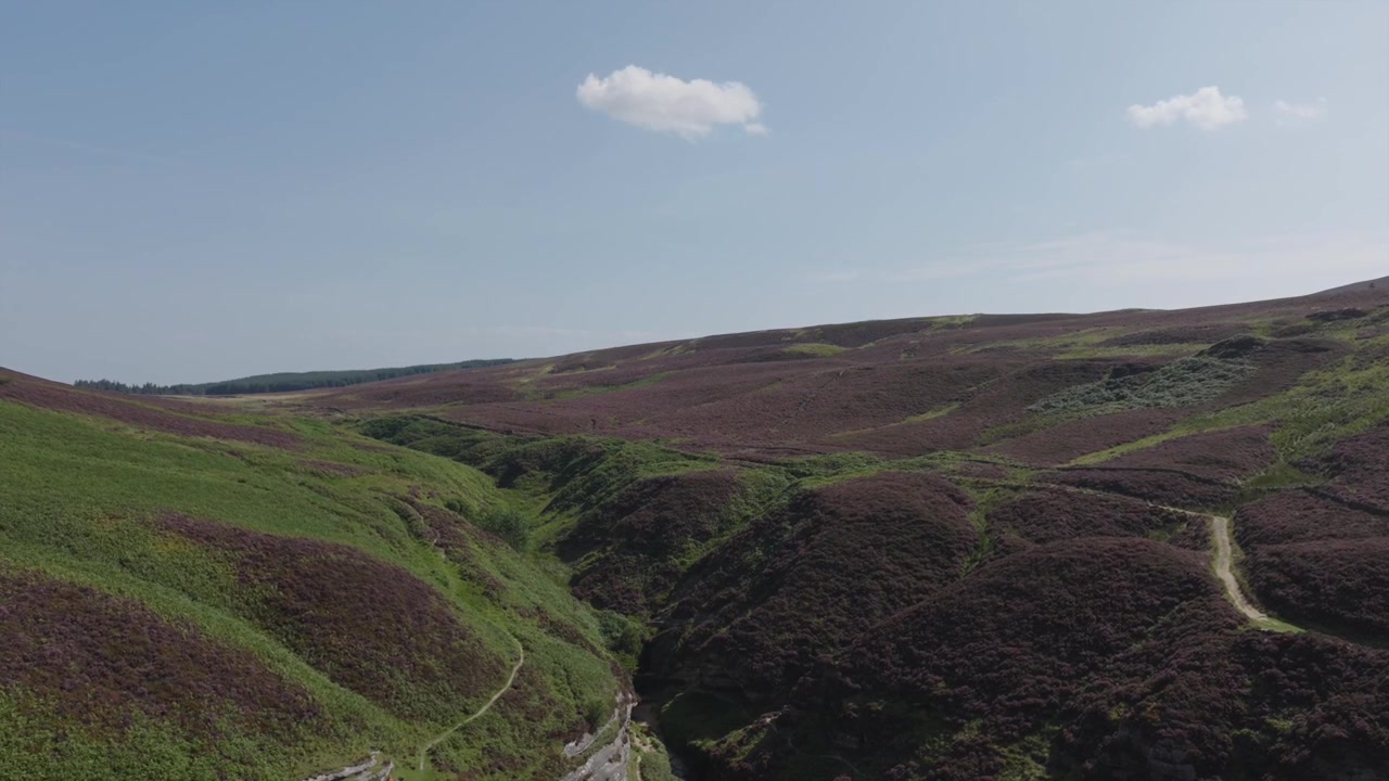 Volo di drone a Glen Vale, parte delle Lomond Hills nel Fife, Scozia. Ripreso a fine estate, l'erica in fiore è chiaramente visibile sul fianco della collina. Il filmato inizia in alto prima di scendere nella valle.