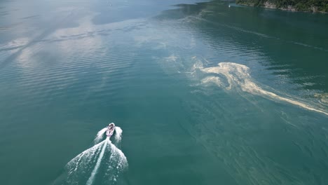 Speed-boat-travelling-close-to-coral-spawning-in-lake-water,aerial-view