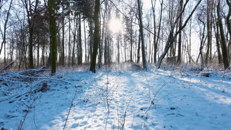 Fliegen-Durch-Verschneiten-Park-Mit-Sonnenlicht-Und-Fackeln,-Die-Am-Wintermorgen-Zwischen-Ästen-Gucken