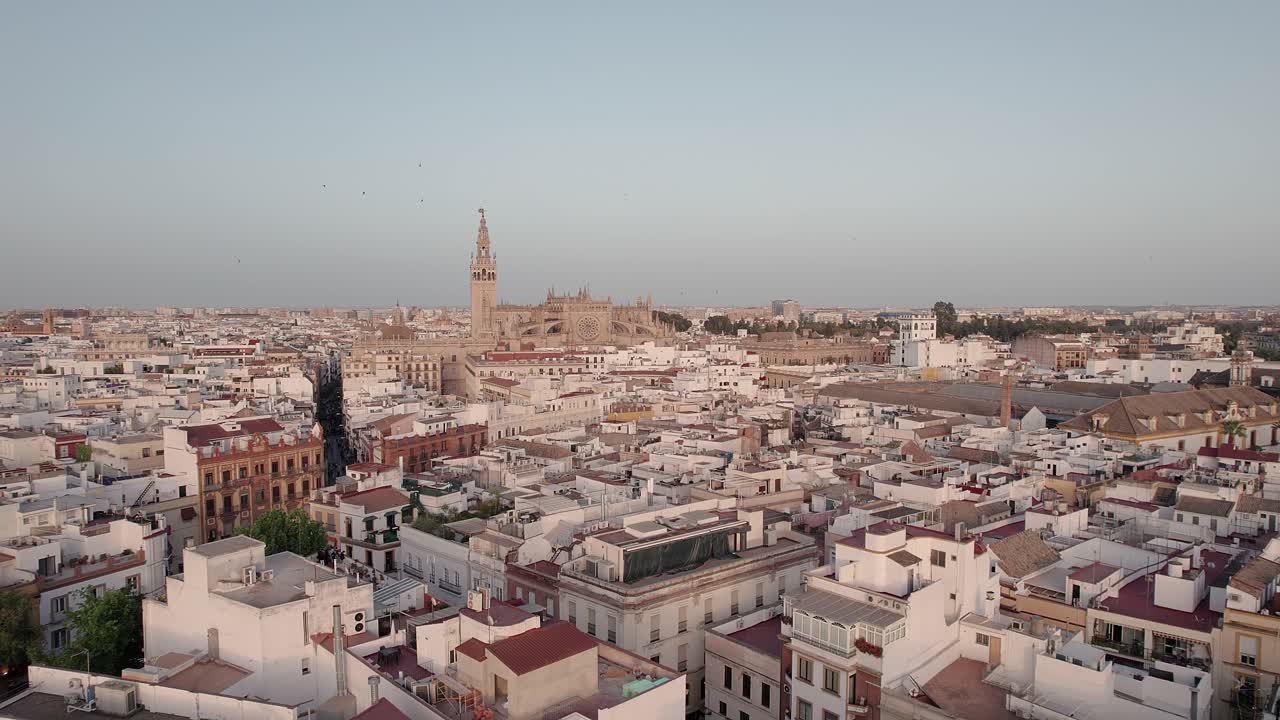 Wide aerial of Gothic architecture of the Seville Cathedral and its Giralda tower, rising above tightly packed white and terracotta rooftops of the historic Old Town Casco Antiguo) in Seville, Spain