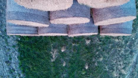 the hay bales, stacked in a pyramid, dry in the field at sunset.