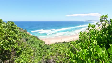 panoramic view of a beach from behind greenery