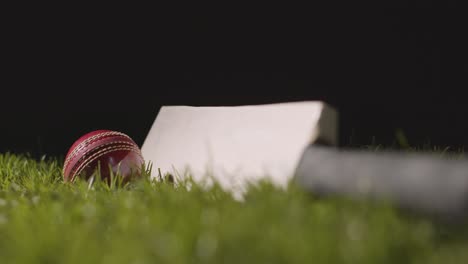 studio cricket still life with close up of bat and ball lying in grass 3