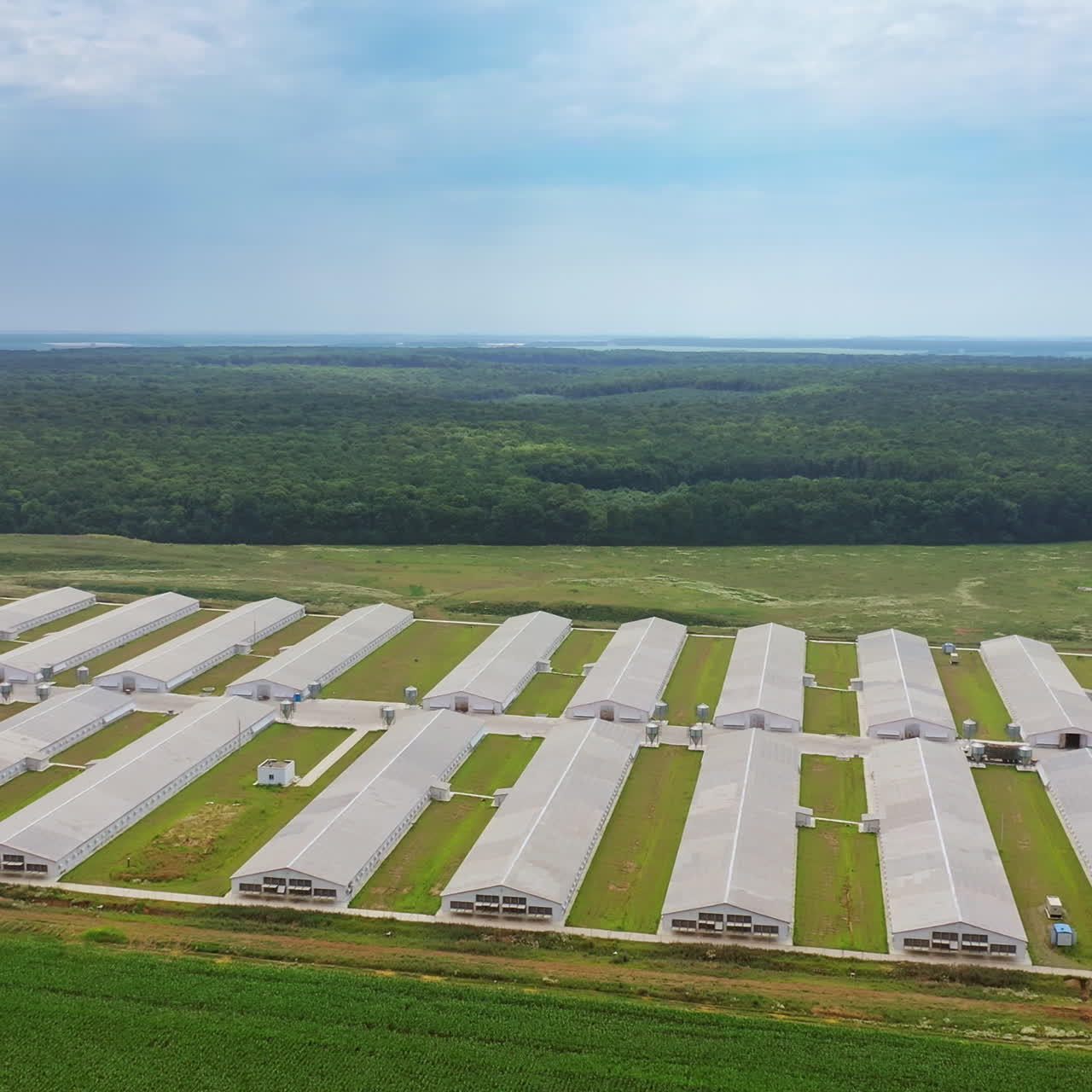 Amazing view of large farm on the natural background. Aerial view of a modern farming complex for livestock in summer. Slow motion.