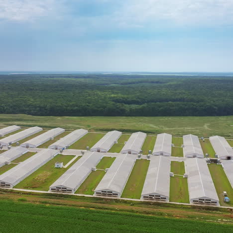 amazing view of large farm on the natural background. aerial view of a modern farming complex for livestock in summer. slow motion.