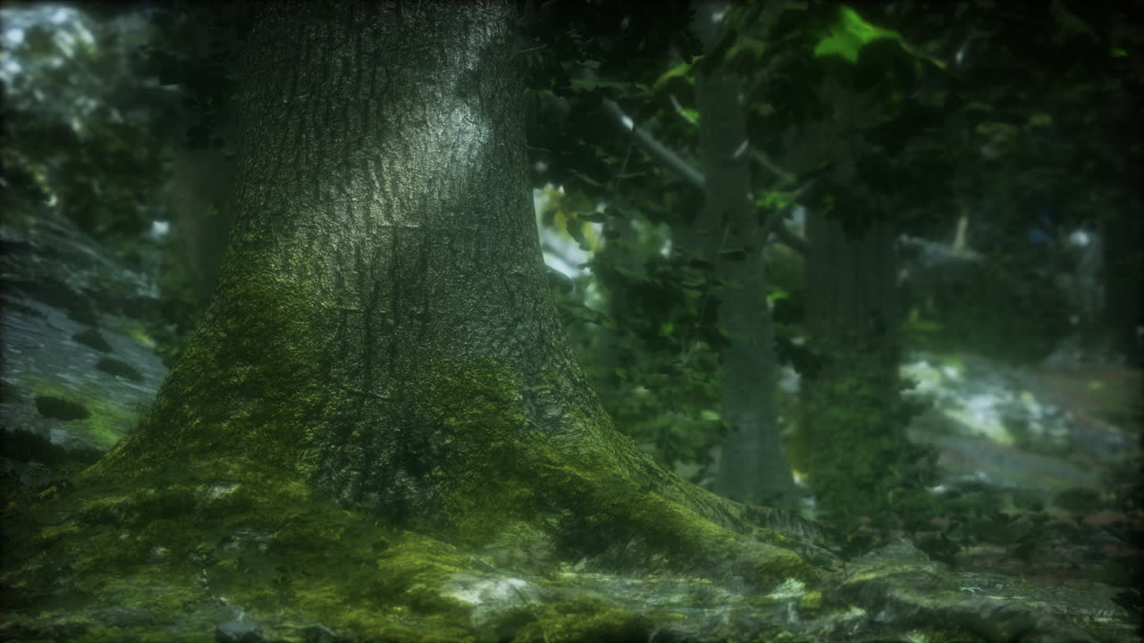 Bosques tropicales en América Central