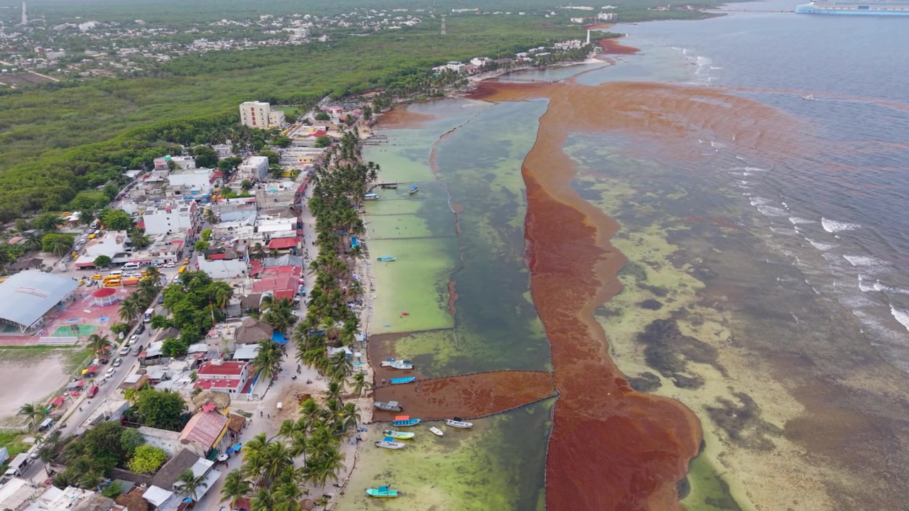 Karibian ranta kausittaisella sargassum-levällä, kuvattu dronella Mahahualissa.