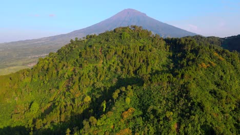 Flying-over-green-trees-forest-on-the-hill-in-the-morning