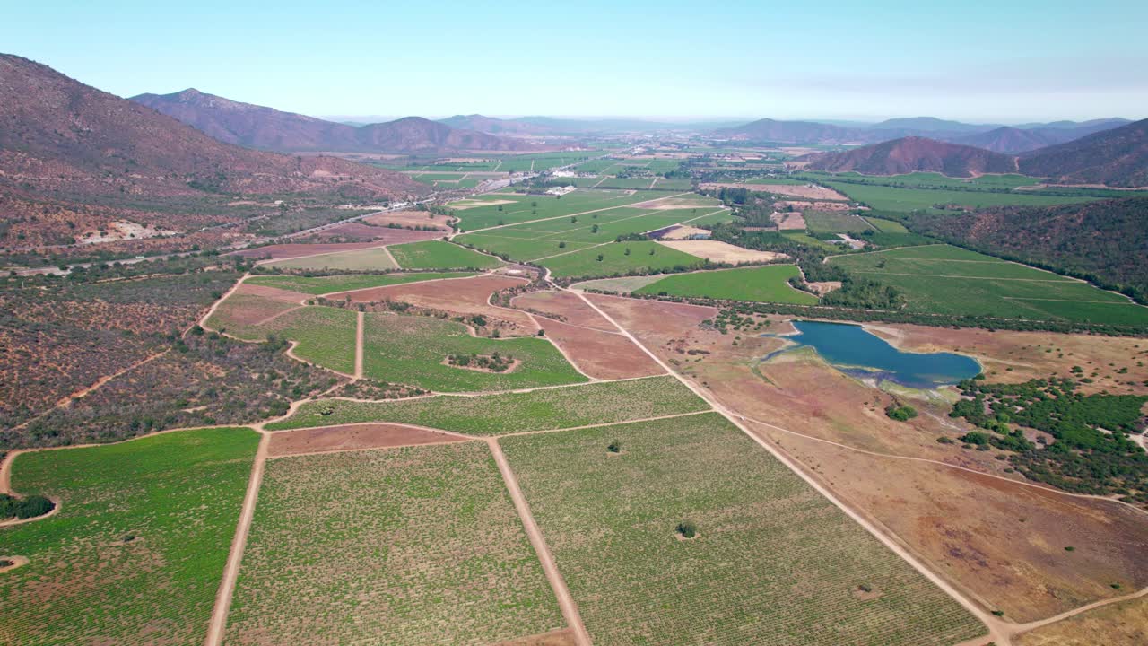 volar sobre un viñedo con secciones separadas en las vides entre las montañas en el valle de casablanca, chile