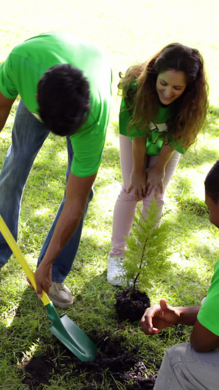 Ativistas ambientais plantando uma árvore no parque