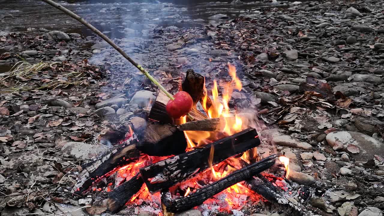 사과는 밤의 불에 여 있습니다.