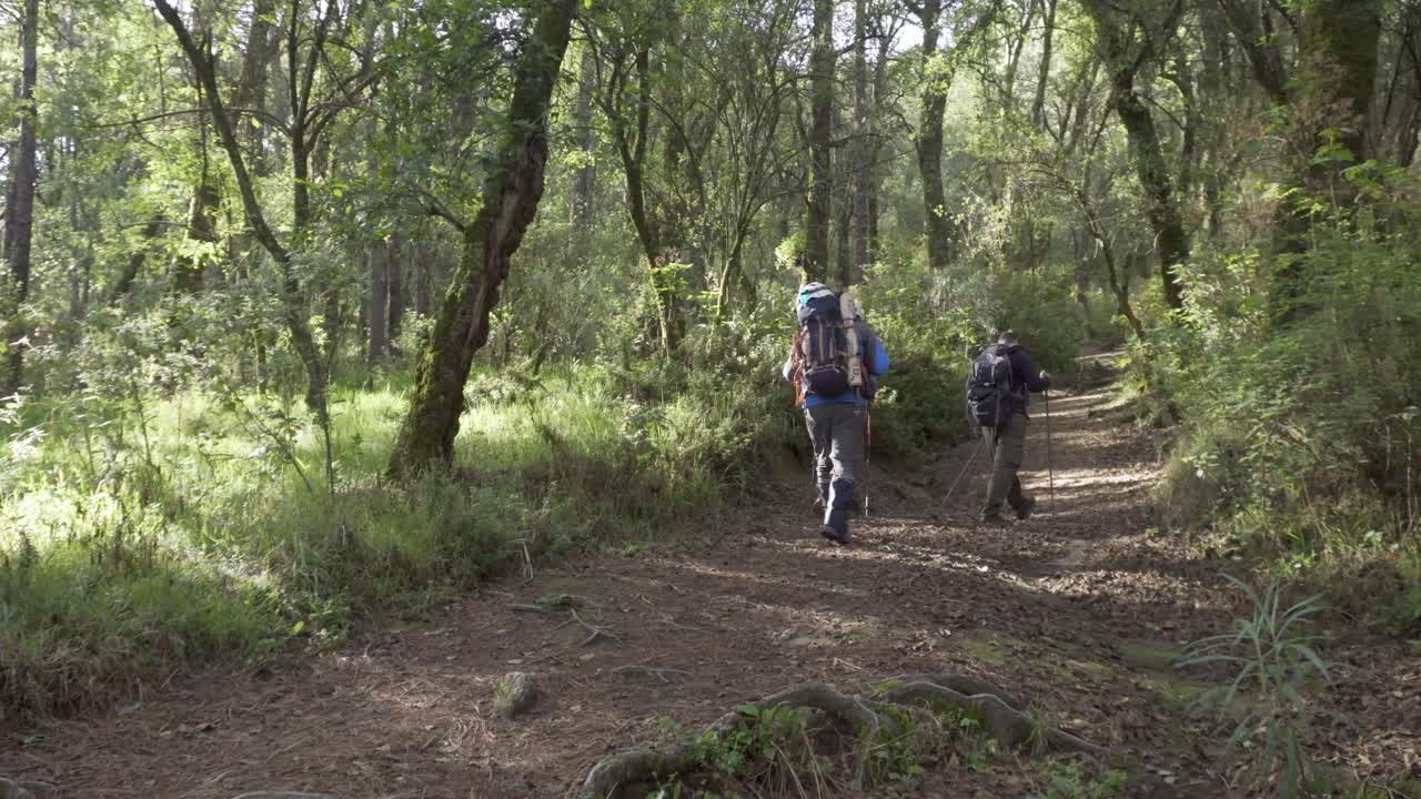 un excursionista con una mochila caminando por los bosques de iztaccíhuatl en méxico