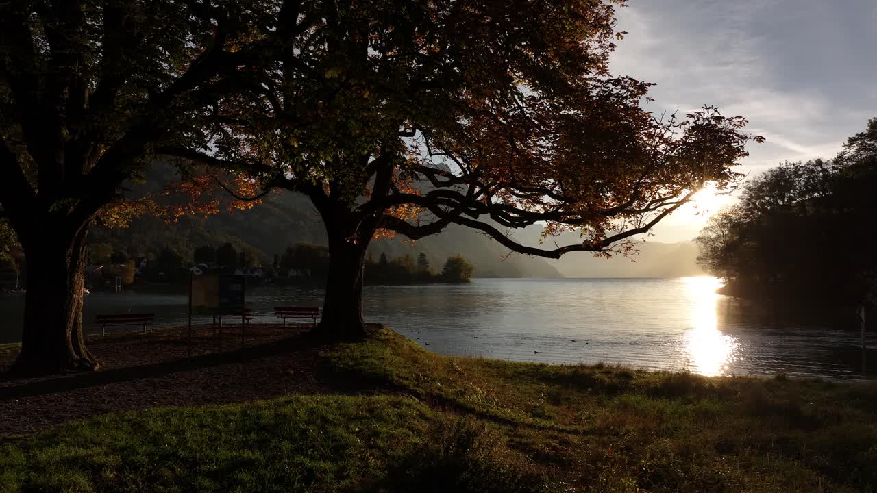 Morning sunlight reflects on lake surrounded by mountains, drone pulls back through stunning autumn leaves, picturesque landscape at Walensee, Switzerland.