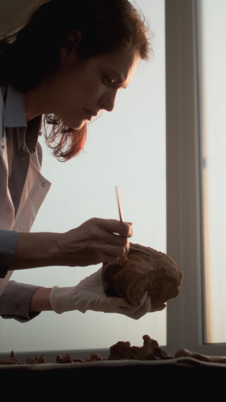 arqueólogo examinando un artefacto