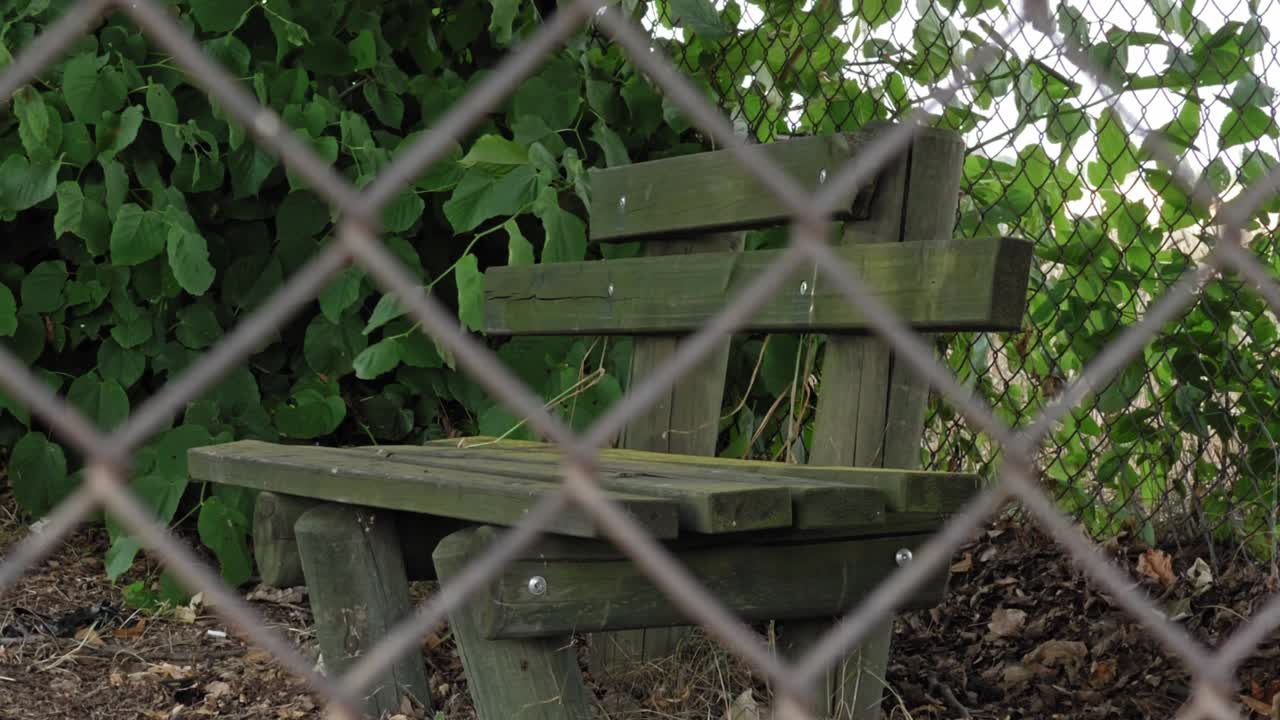 오래 된 파괴 나무 사이 버려진된 나무 벤치