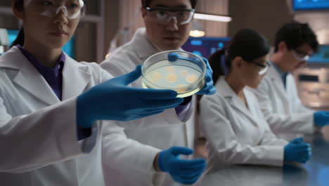 scientists conducting experiments in a modern laboratory