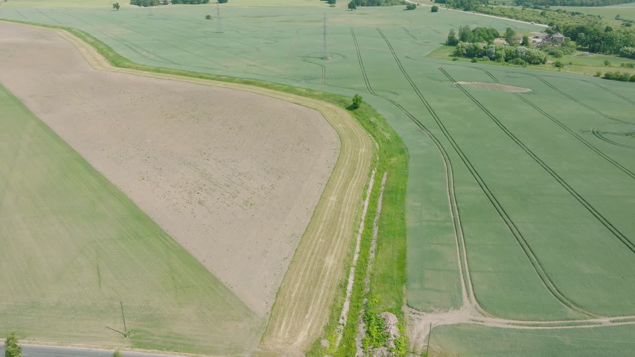 vista aérea de un campo de cereales en maduración, agricultura orgánica, paisaje rural, producción de alimentos y biomasa para un manejo sostenible, día soleado de verano, toma amplia de un avión no tripulado avanzando