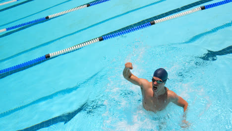 Männliche-Schwimmer-Reagieren,-Nachdem-Sie-Das-Rennen-4k-Gewonnen-Haben