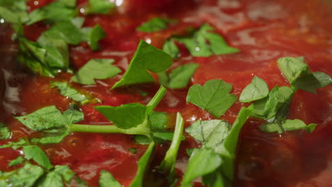 close-up of tomato sauce with herbs