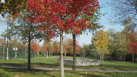 people enjoying a sunny day in a park during fall