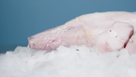 filleted ling fish cuts on top of the ice