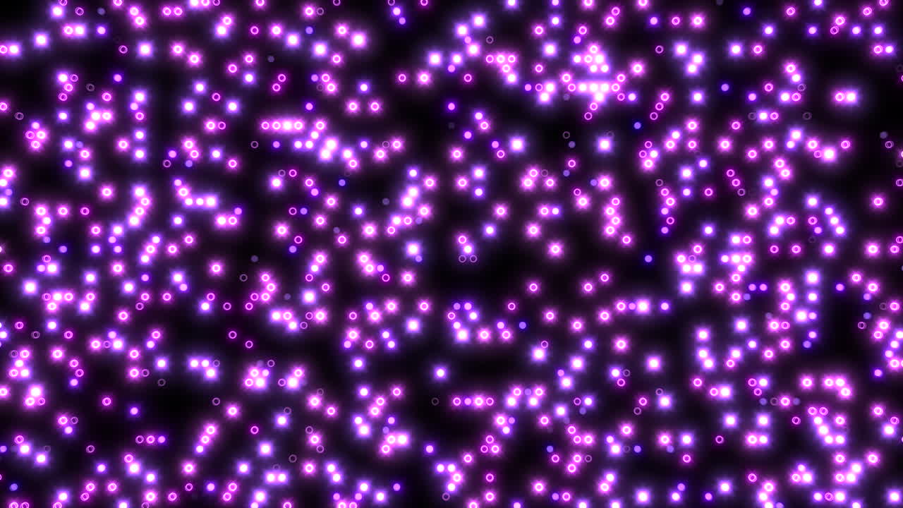 별이 가득한 밤은 검은색에 보라색 별의 무를 매료시니다.